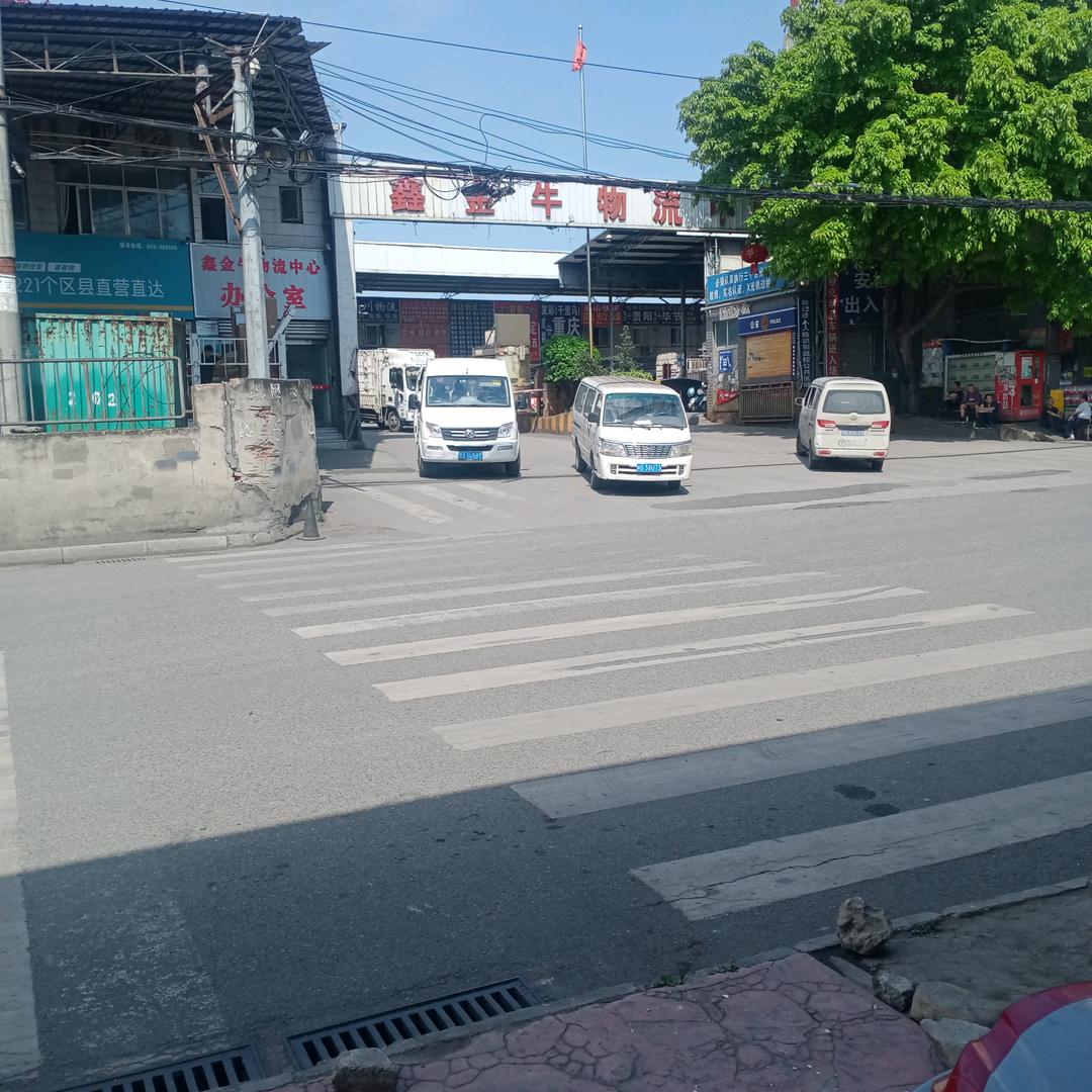 杨哥
