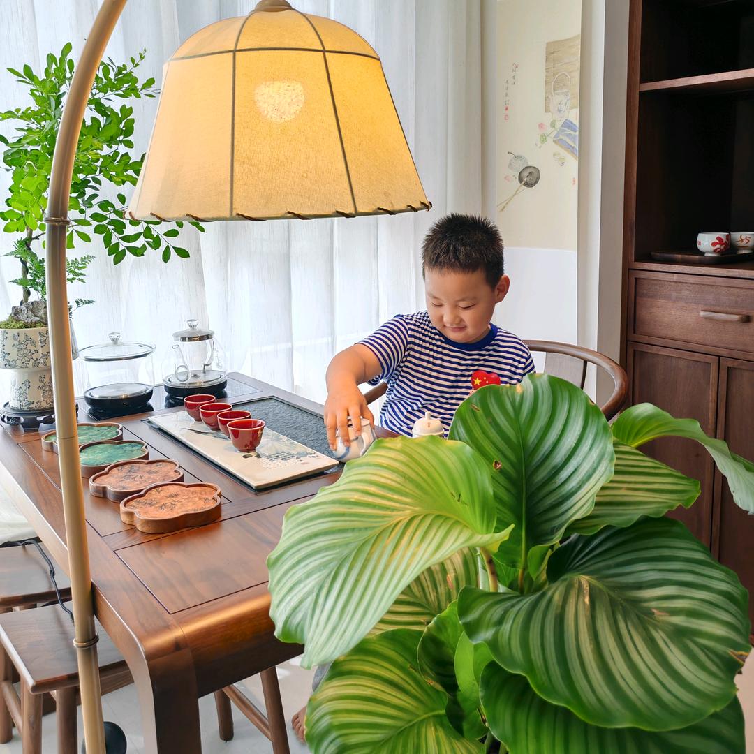 辰辰和丞丞的日常生活