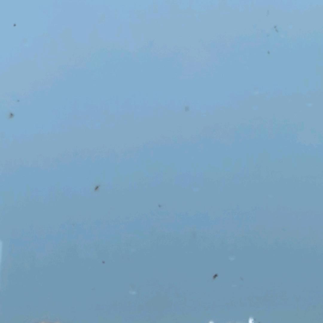 小熊又挨熊的一天