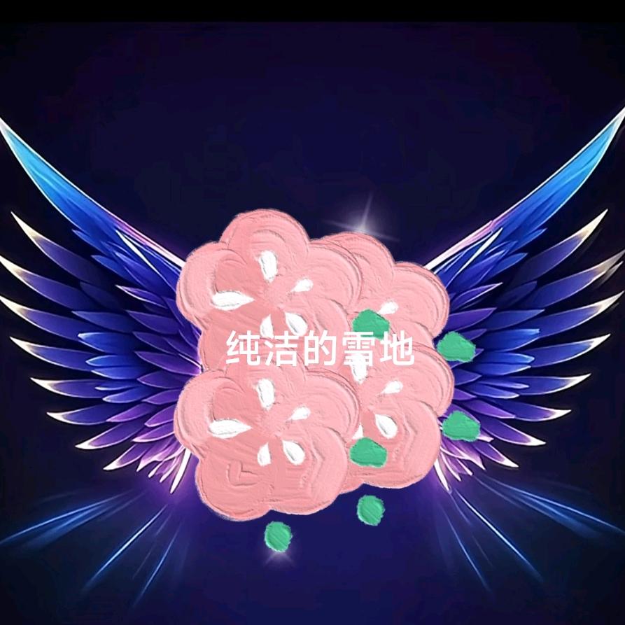 纯洁的雪地(传家军)