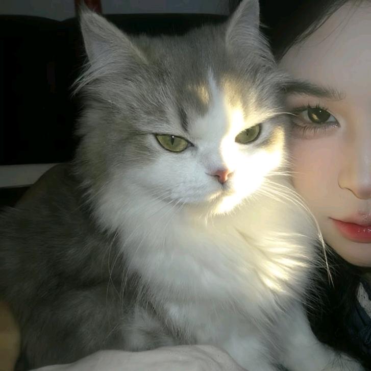 好运来-：