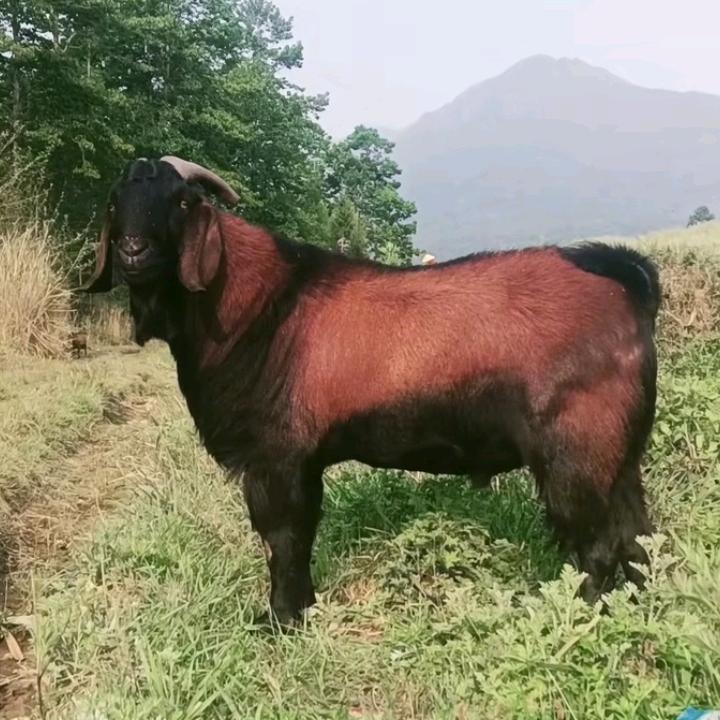 诚启人生鸿运四海