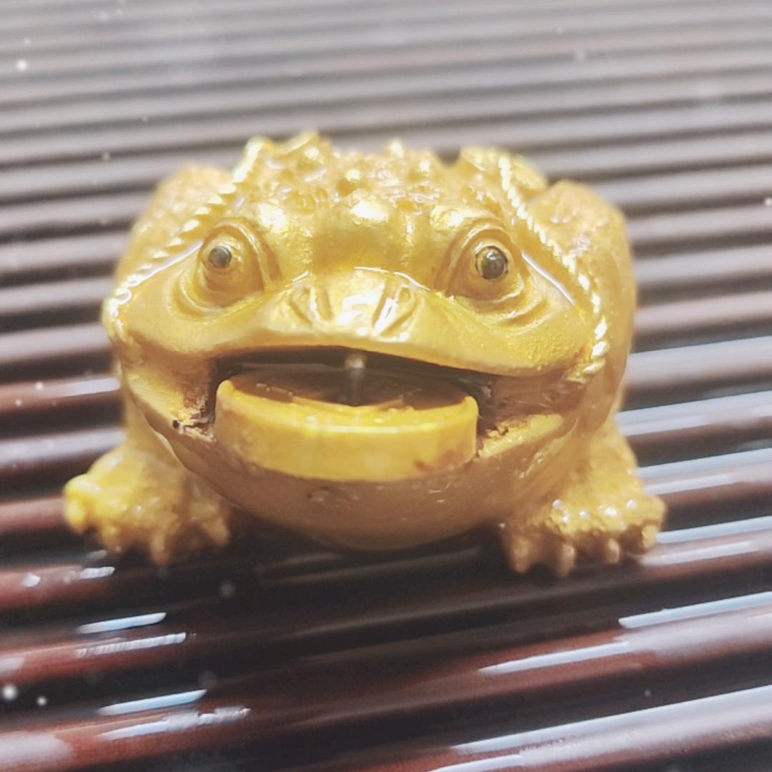 ∼小帅锅∼