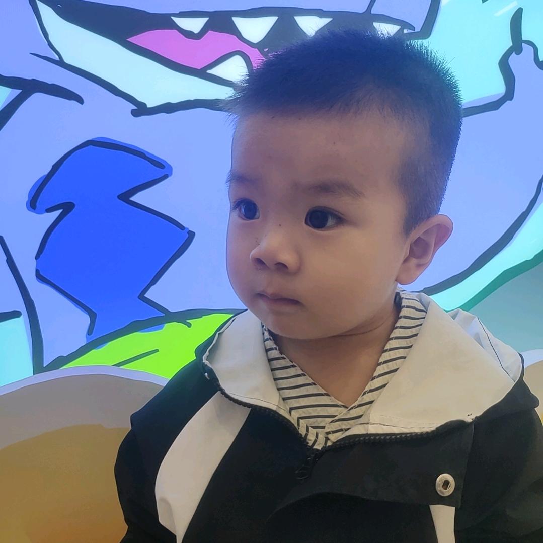 调皮鸿宝