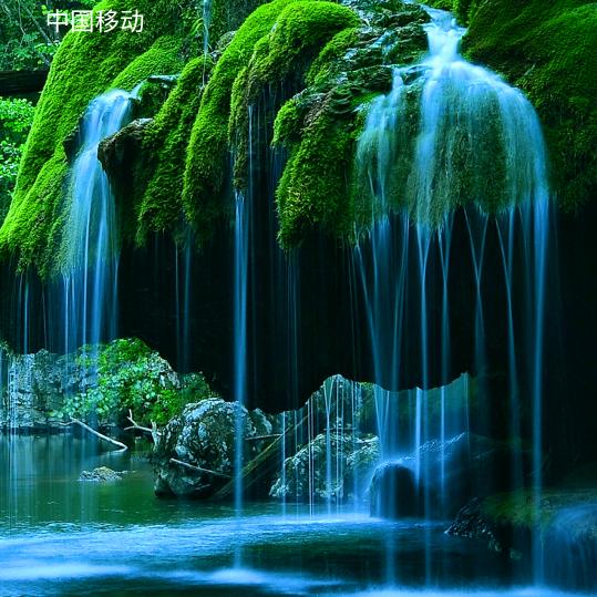 杨二哥