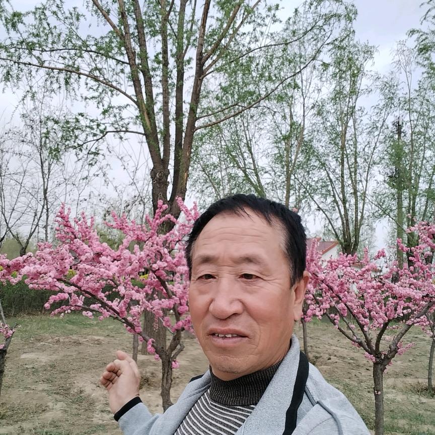 开心快乐就好