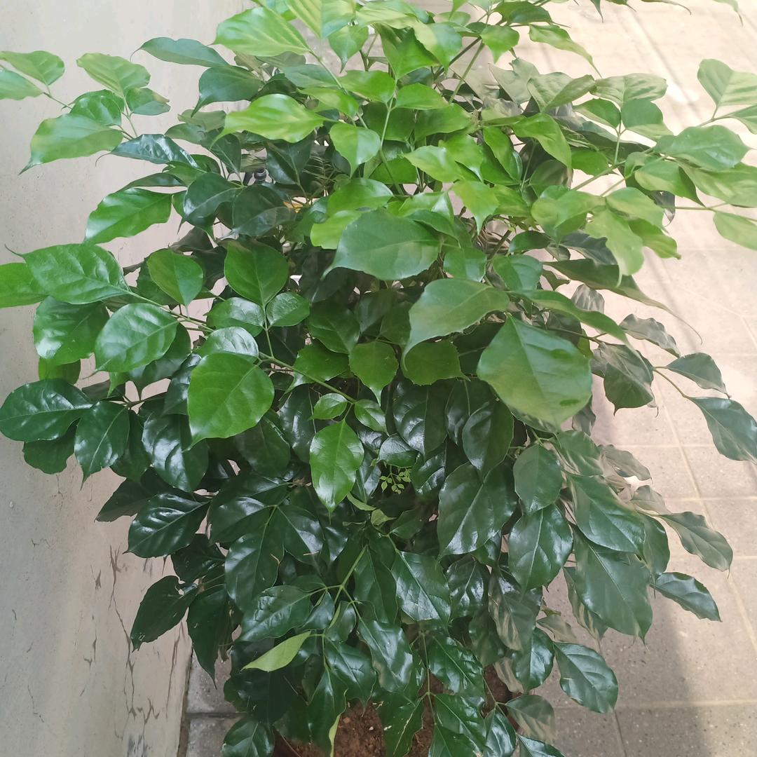 勇往直前干就完了