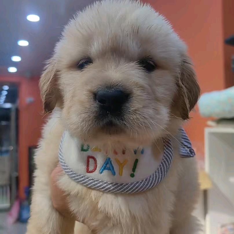 妍呐呐（暴富暴瘦）