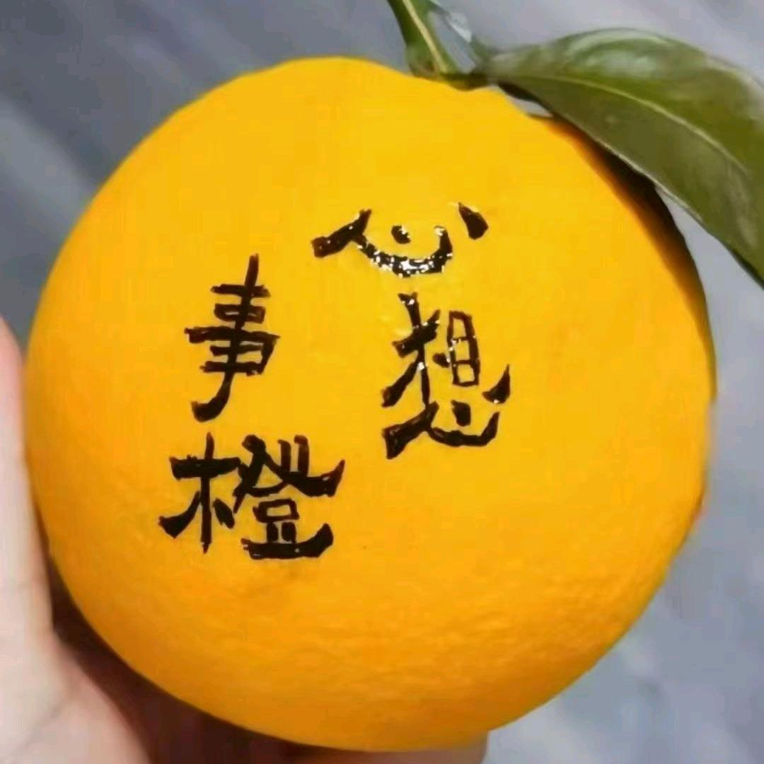 忍一时风平浪静，退两步一脚踩空