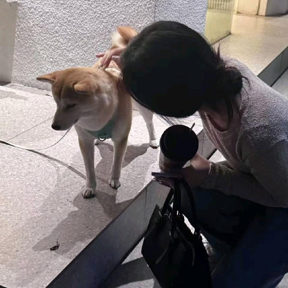 听不到你大声说