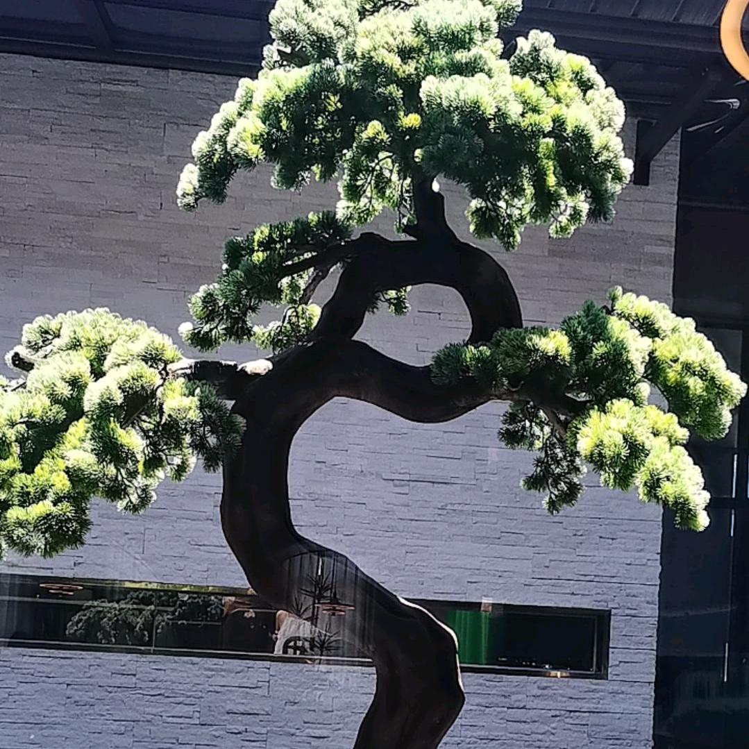 萱姐