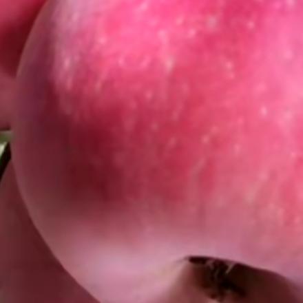 阿克苏冰糖心苹果🍎库尔勒香梨🍐