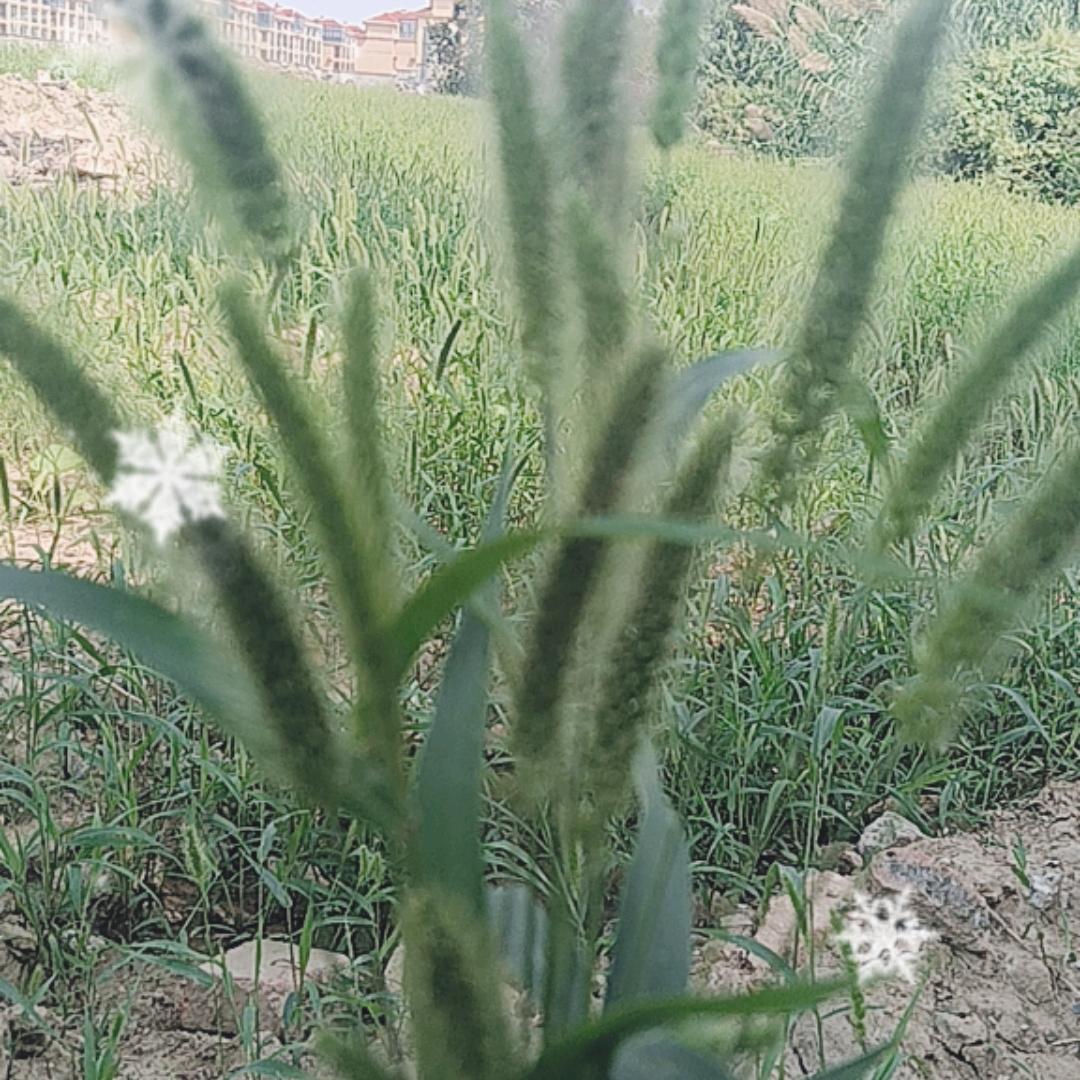 💞时间💞