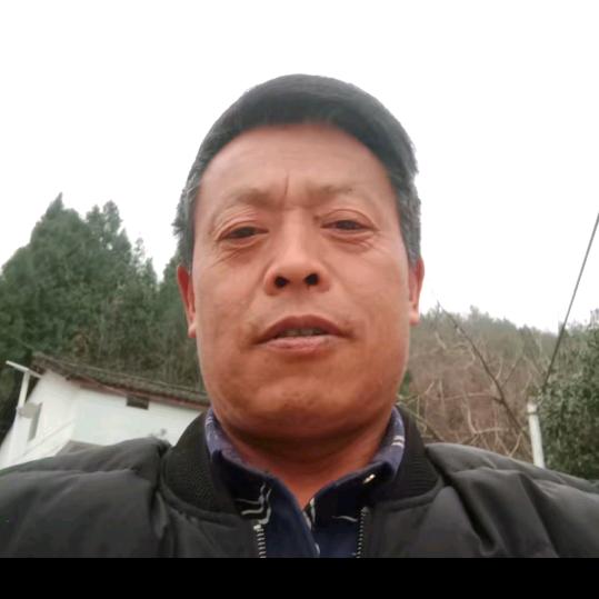 枫林