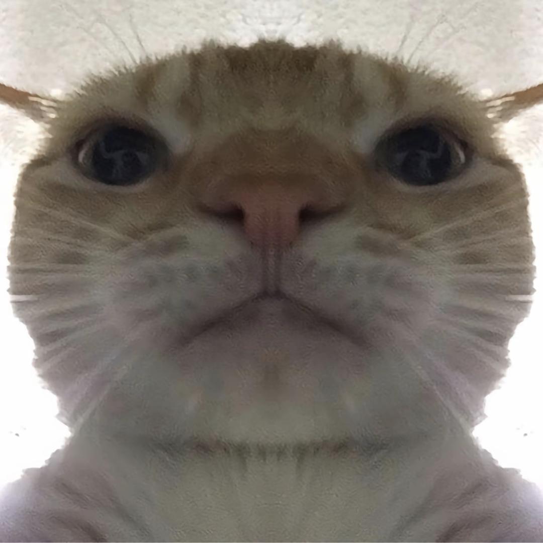 小猪存钱罐