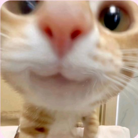 佳茵吖