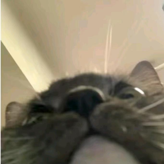 圆姜