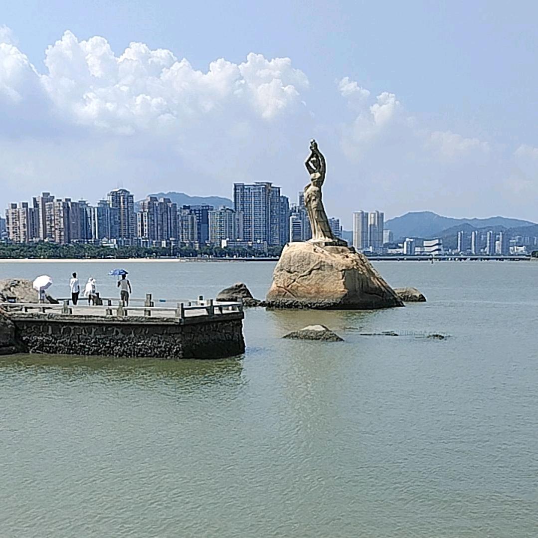 韦大海