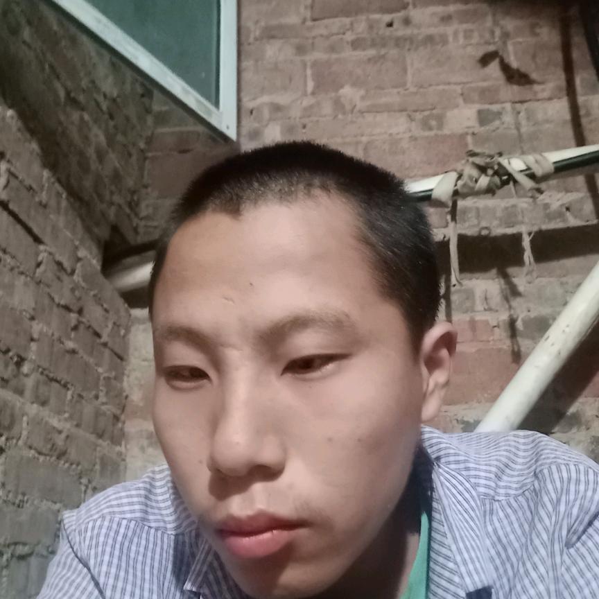 一生快乐，单身