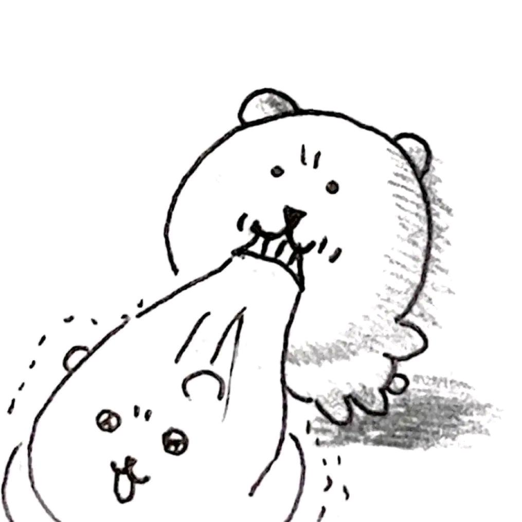 猫猫帽蝶