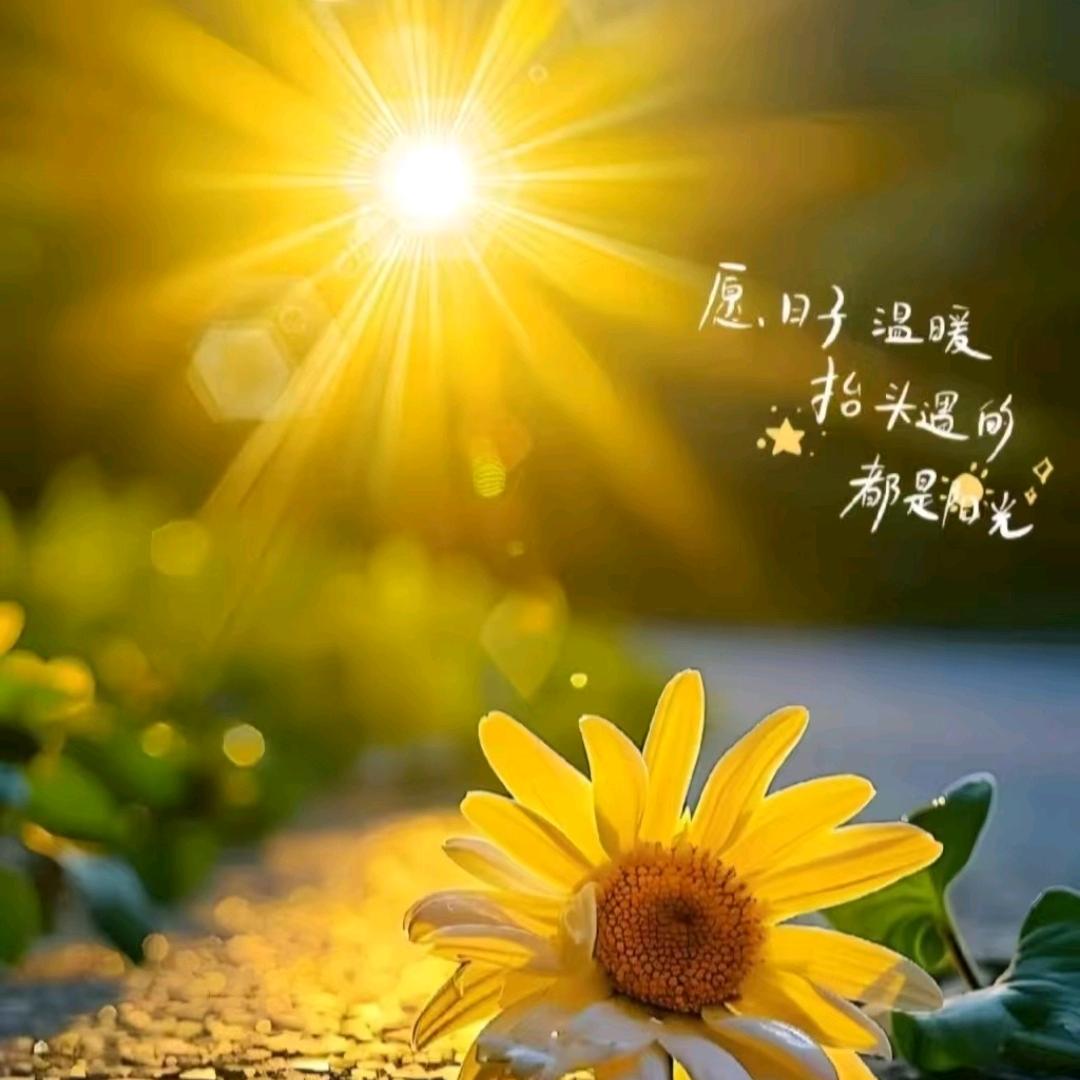 久月是我