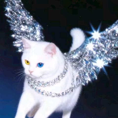 小蛇（楼娱韩娱双坑姐）