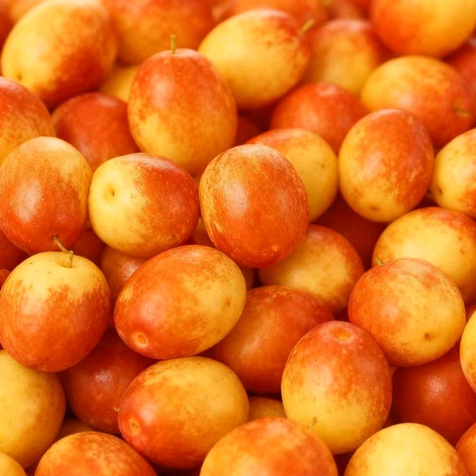 优.选水果次日到