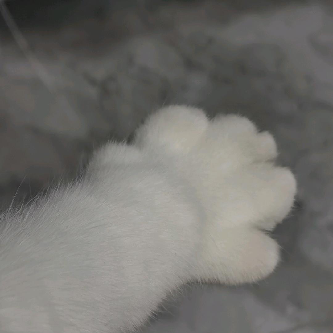 重生秀才在唐山按宽带