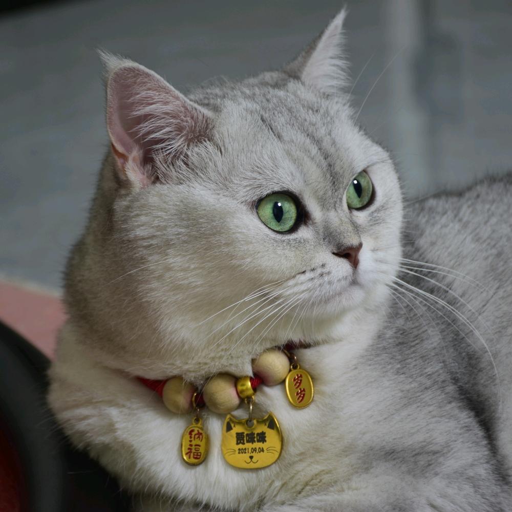 贾漂亮❤️❤️