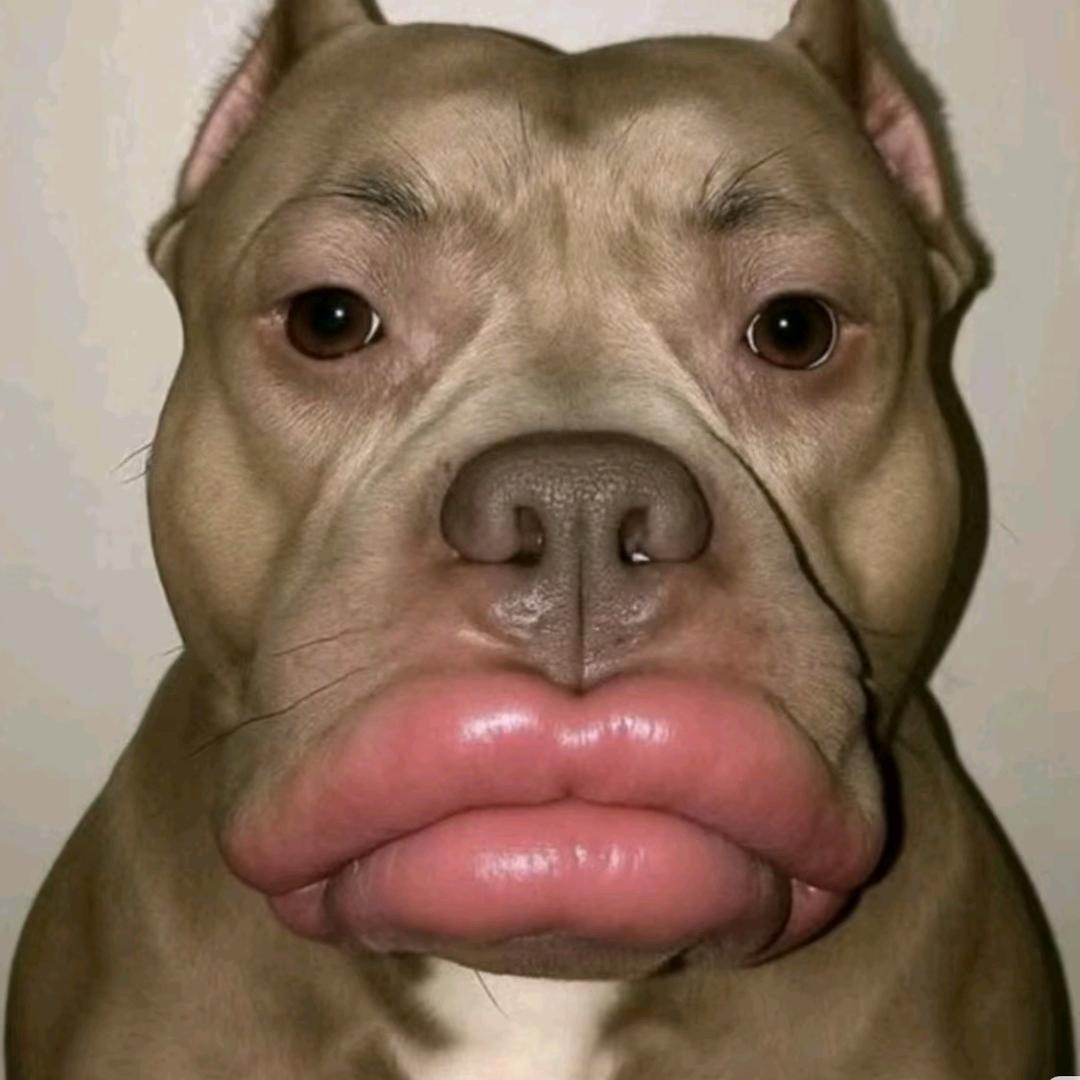 有梦想要去追（三角洲行动）