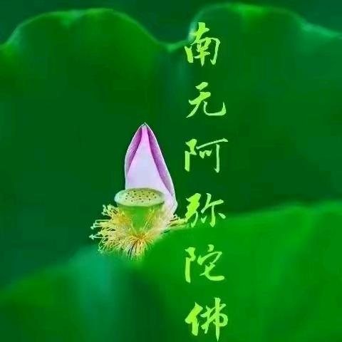 宋家塔桥猪蹄