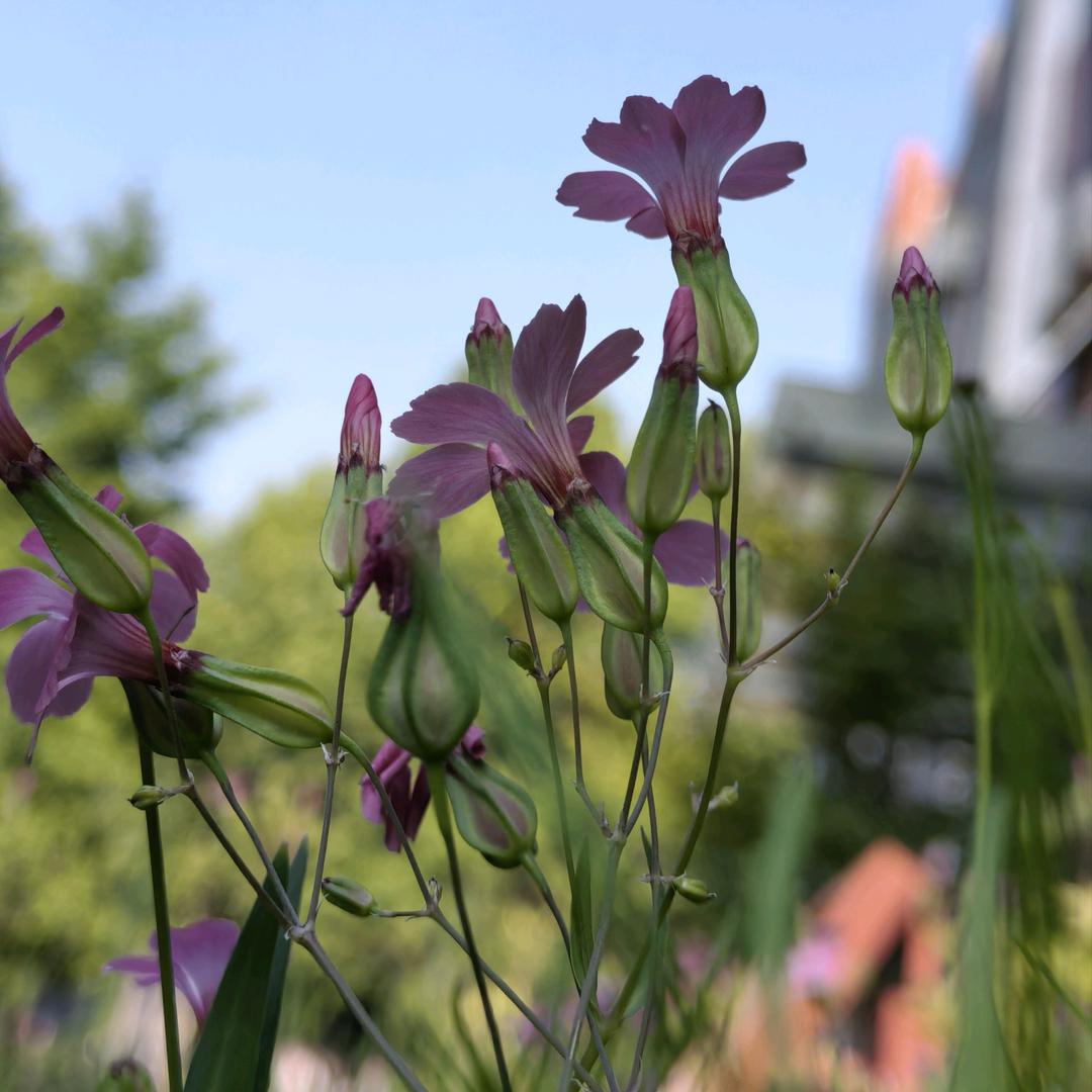 高中教师的日常