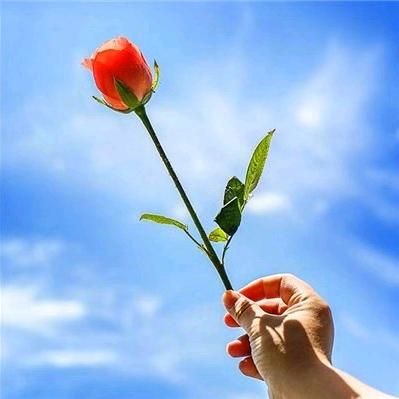 宿州刘姐（说媒）