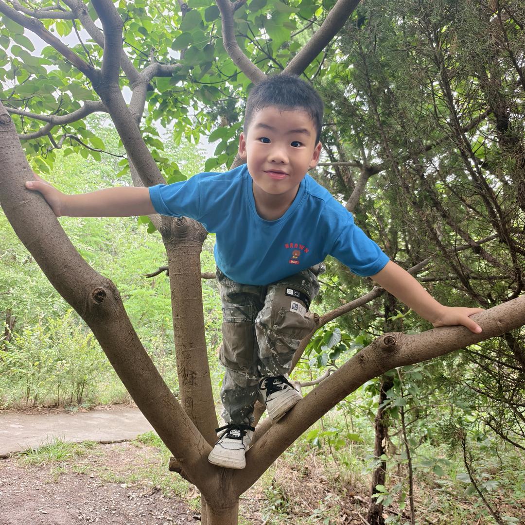 小牛成长记