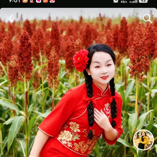 随风散