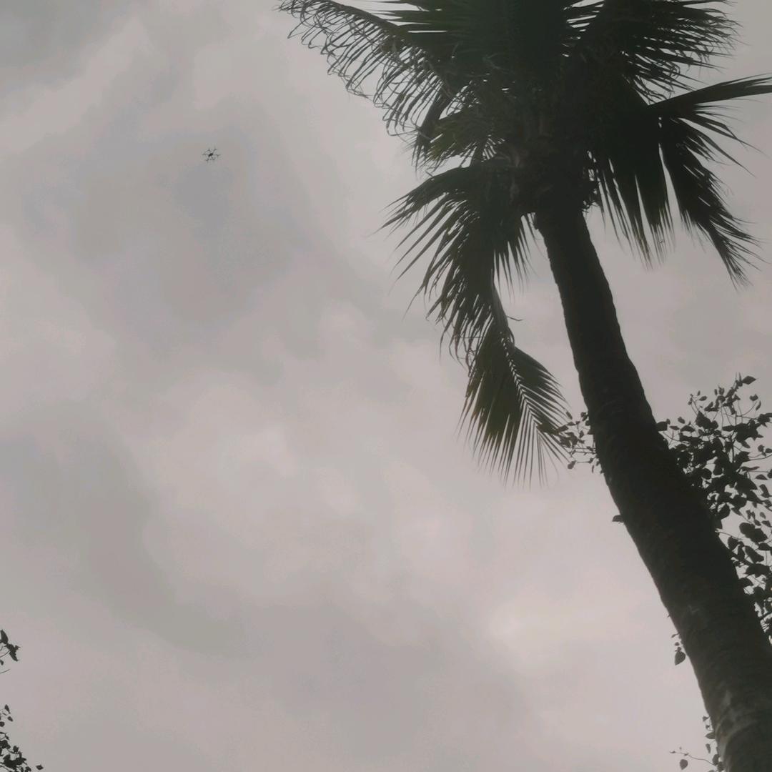 宾宾  自助洗车