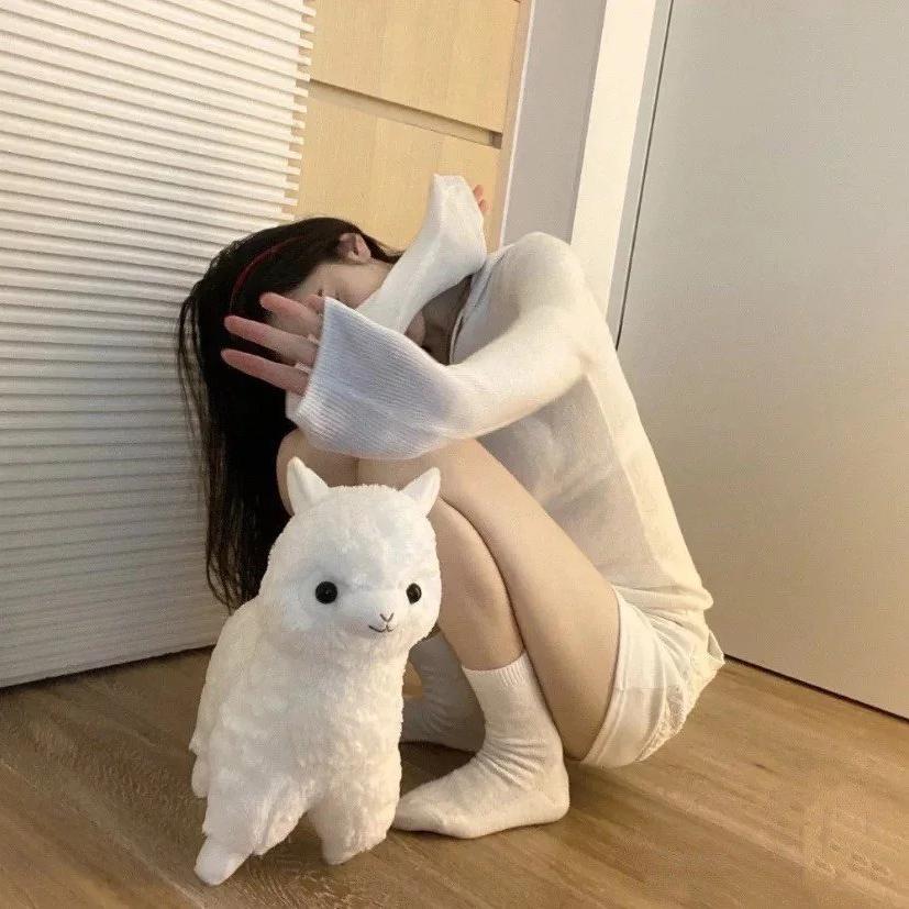Ha_Lcyon
