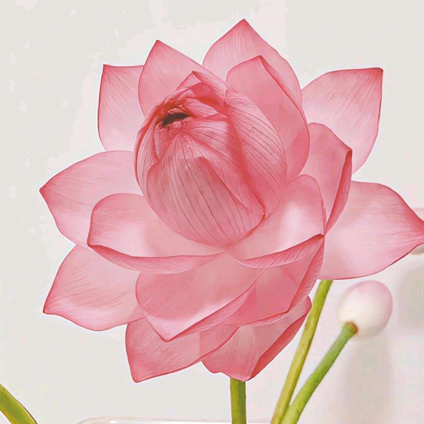 绿旧衫