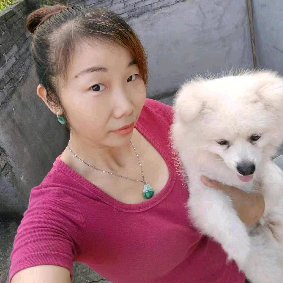 常德青青萌宠繁殖（小）