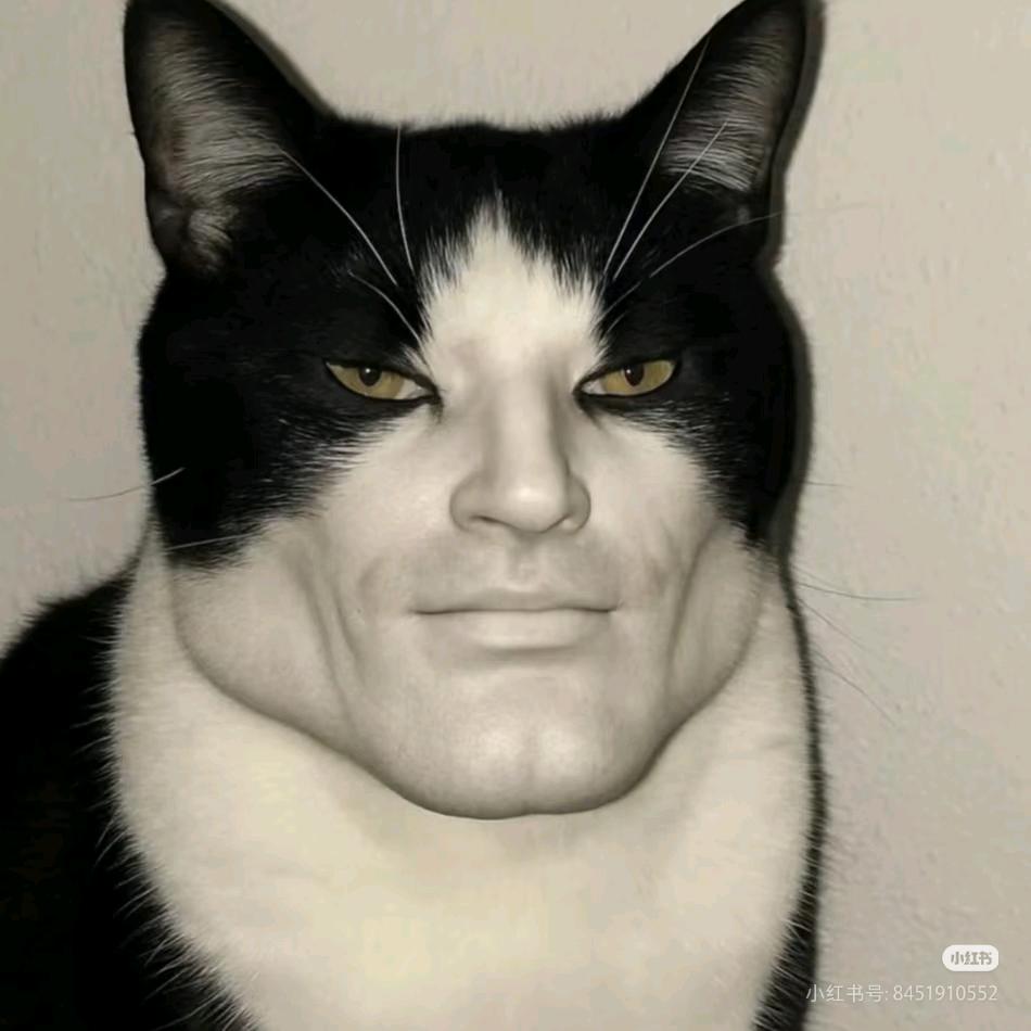 乌桕叶