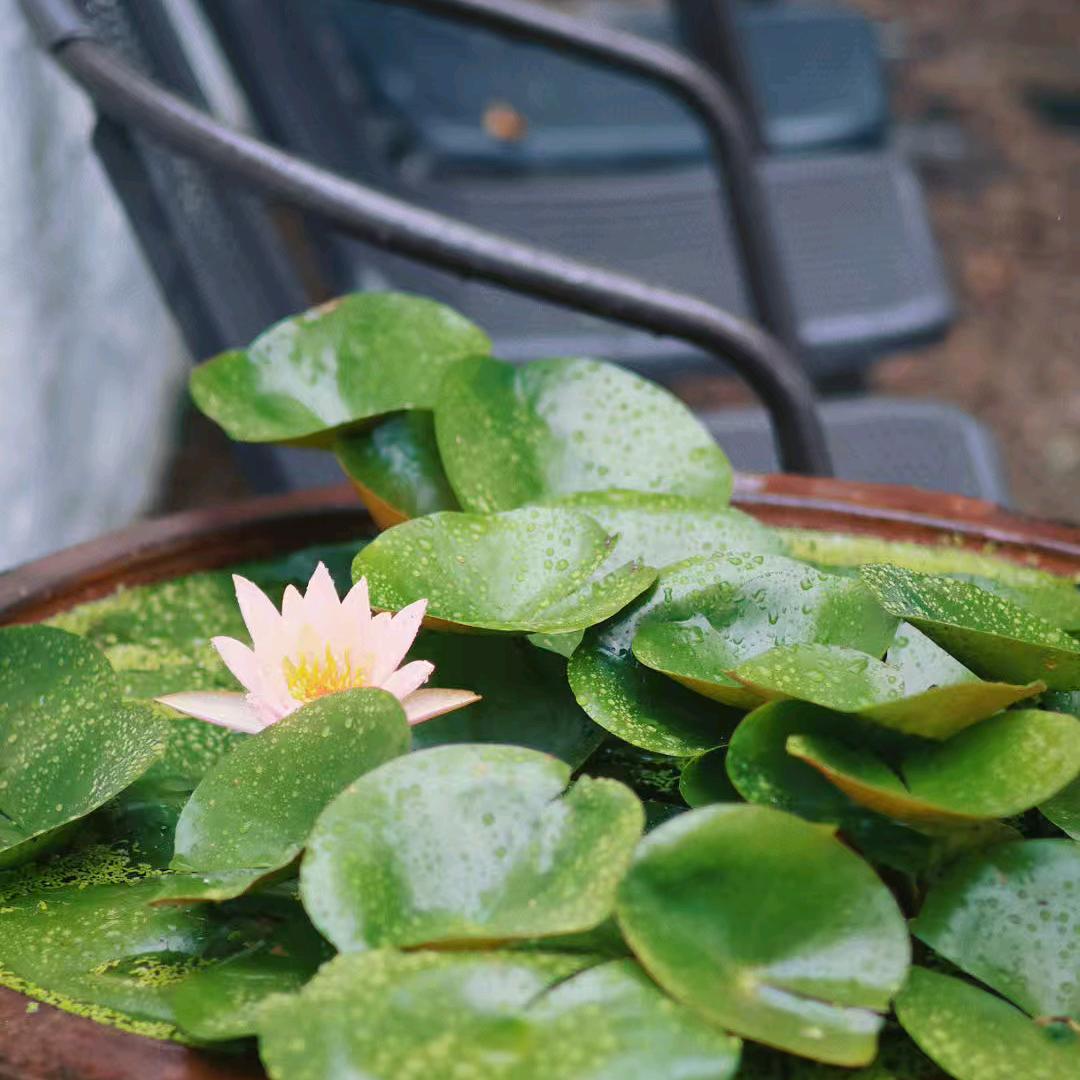 南城黄冈春华学校