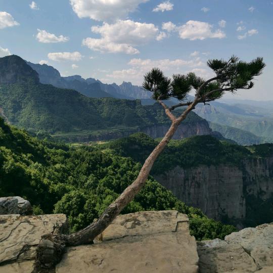 沉默三哥音乐爱好者。