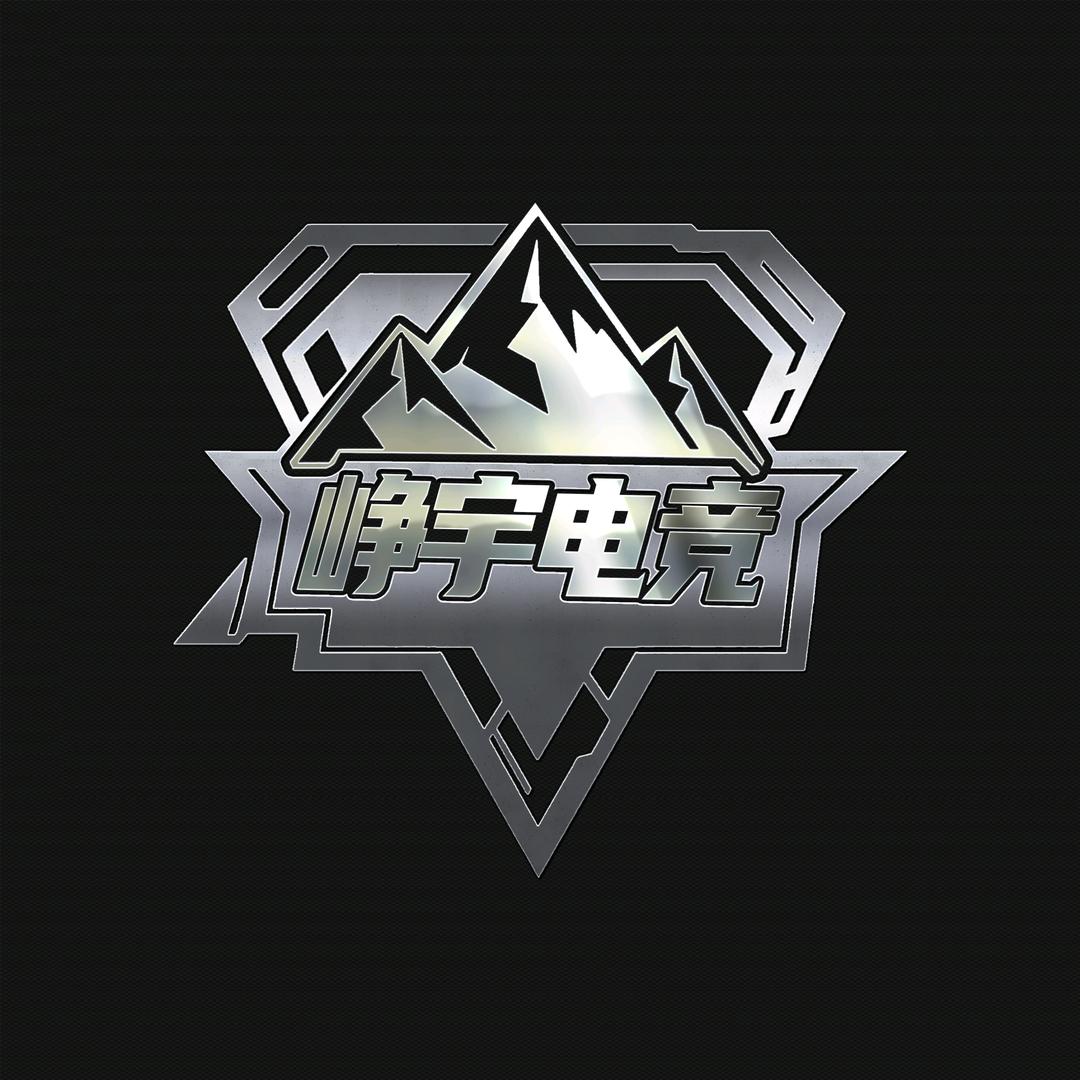 峥宇电竞（三角洲行动）