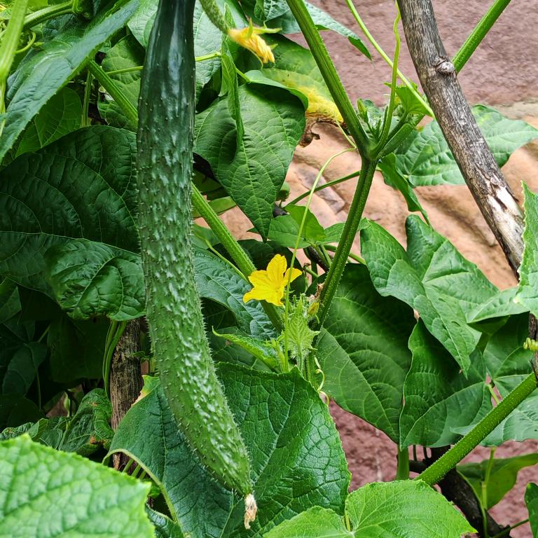 医门心思守护你