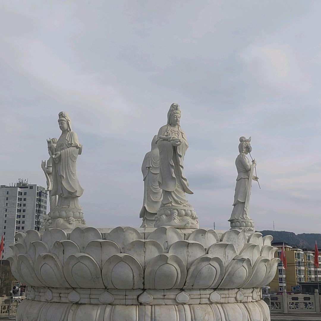 。。。。。。。