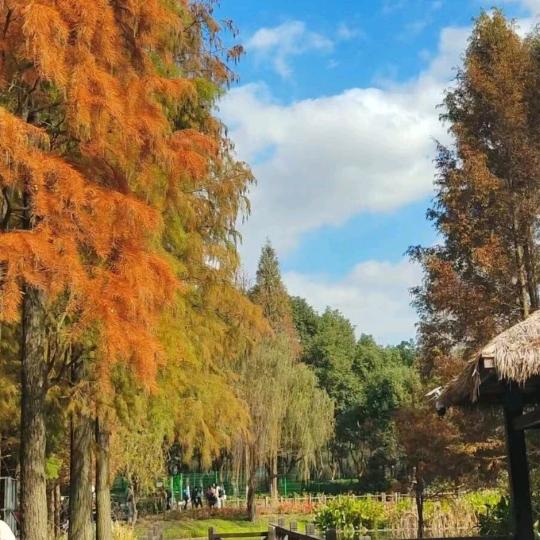 ╭☞云☁️🧚🏻‍♀️³²⁶