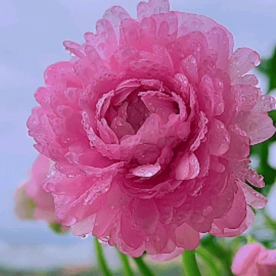 余生有你真好🍎🍎