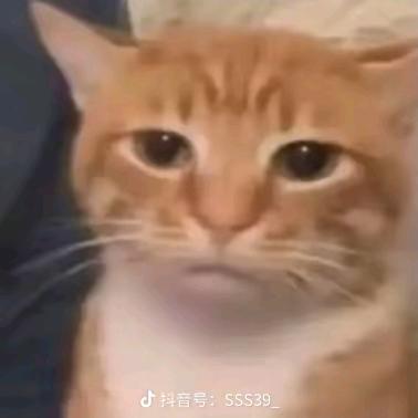 什么鸭