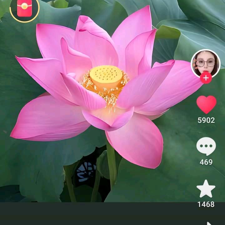 杨小妮