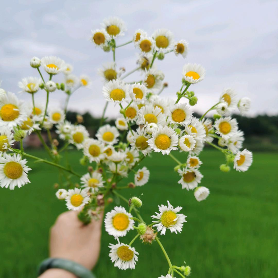 ℒᎭℯ⃝小幸运🍀: